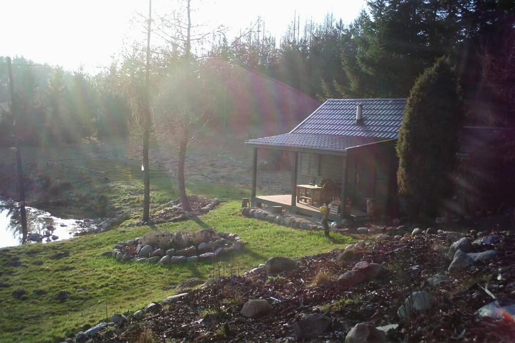 Darzkowo Hut In The Mid. Of Nowhere + Priv Pond+3 Ha מראה חיצוני תמונה
