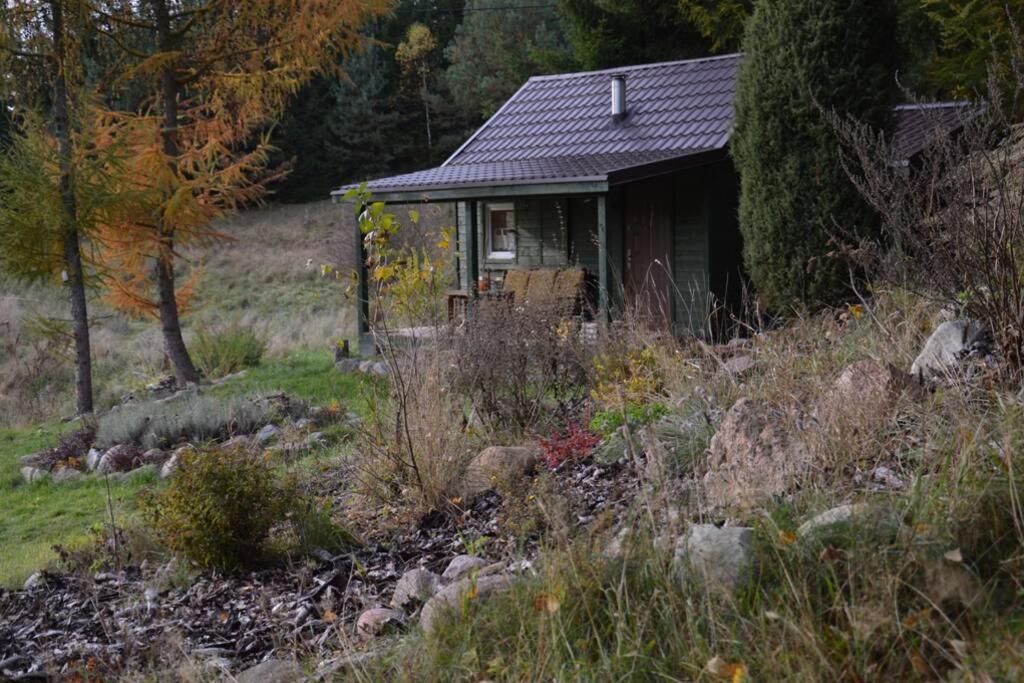 Darzkowo Hut In The Mid. Of Nowhere + Priv Pond+3 Ha מראה חיצוני תמונה